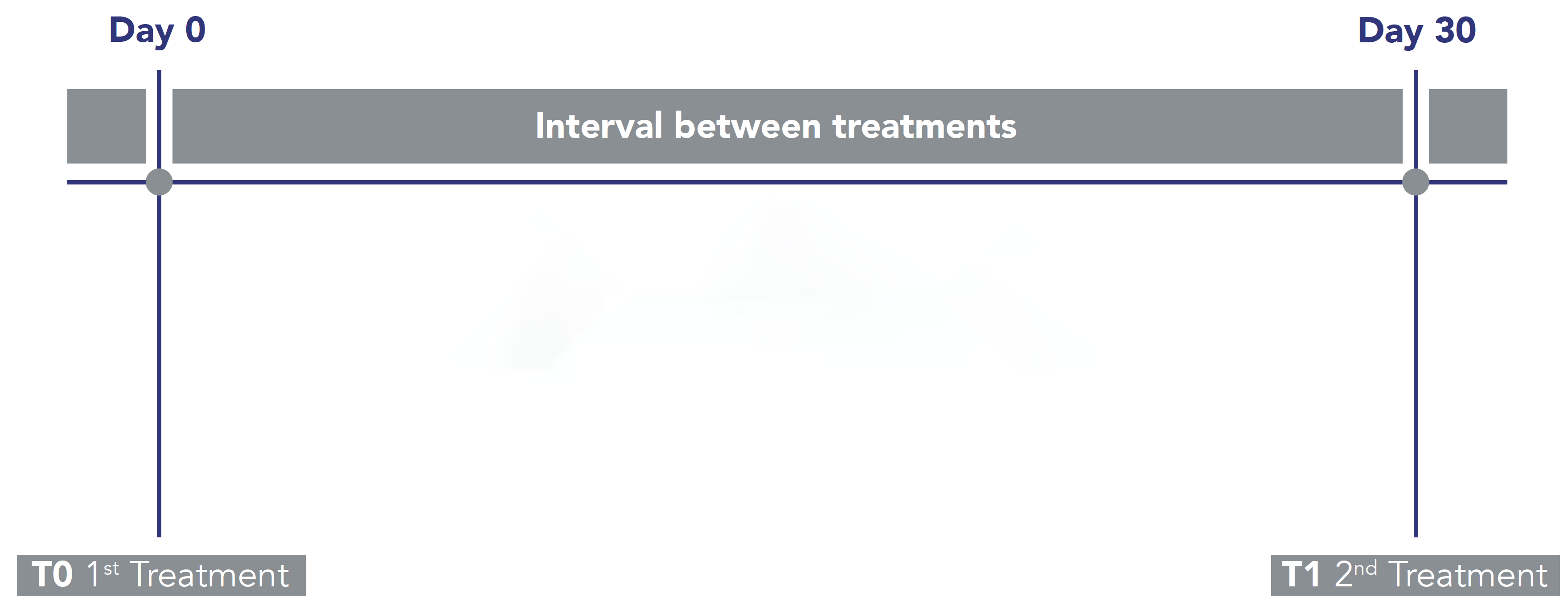 ¿CÓMO USAR PROFHILO<sup>®</sup>BODY?