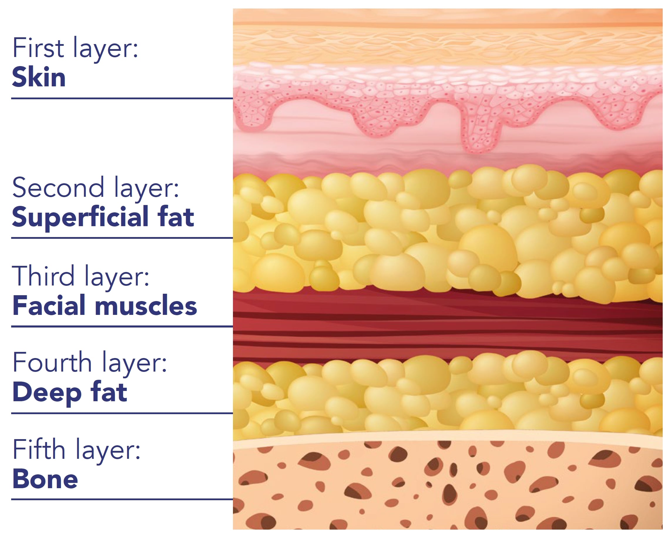 EL ENVEJECIMIENTO NO SE TRATA SOLO DE LA PIEL 